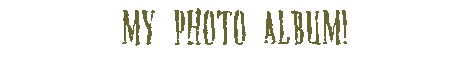!My_Photo_Album.gif (14741 bytes)