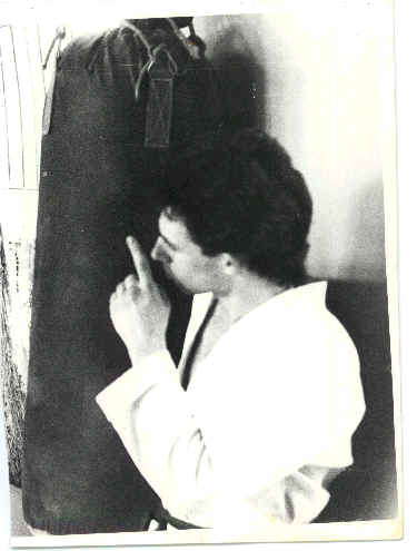 wpe2.jpg (16638 bytes)
