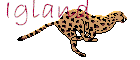 cheetah3.gif (12496 bytes)