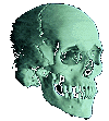 scully.gif (5139 bytes)